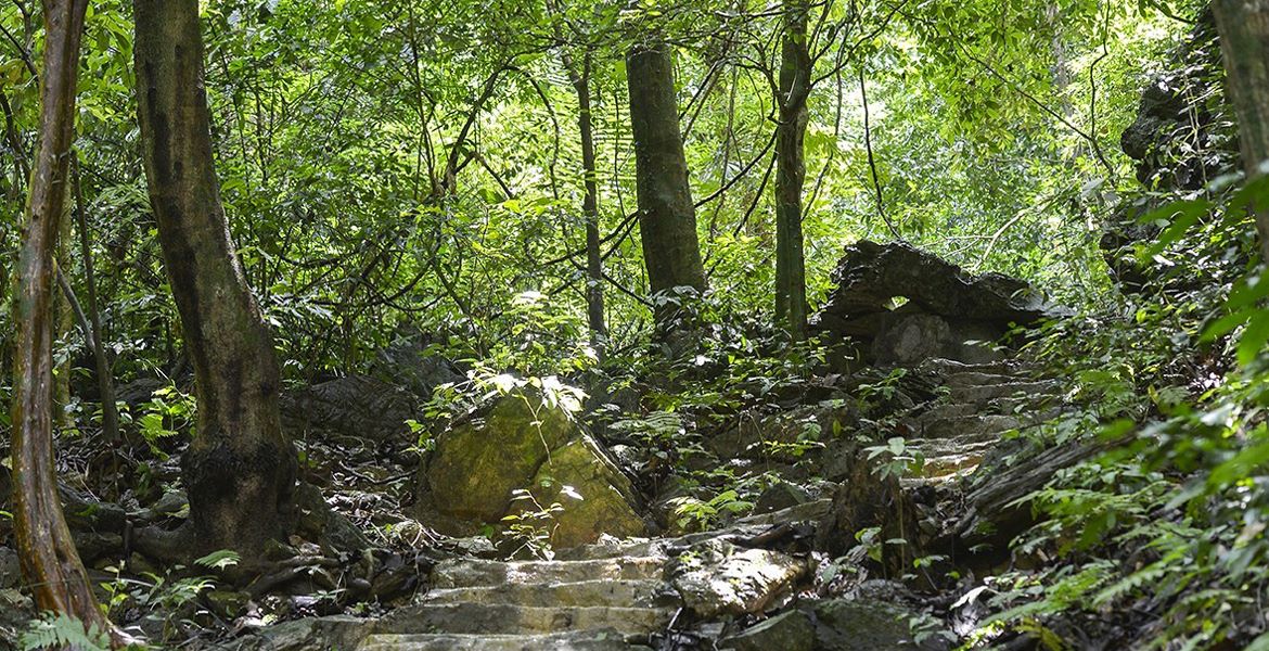 Cuc Phuong National Park Day Tour
